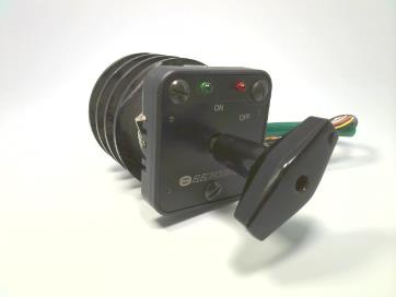 ELECTROSWITCH 24PB202M