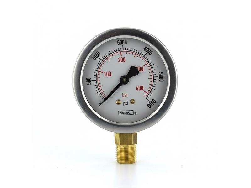 NOSHOK 25-901-6000-PSI/KG/CM2-SG