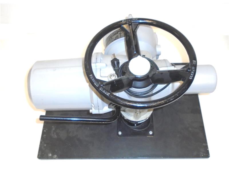 ROTORK IQS12