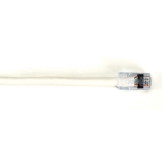 BLACK BOX CORP EYN916MS-0010