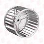 LAU FANS 02895745