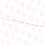 SWISS PRECISION INSTRUMENTS 19-011-6