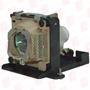 RADWELL VERIFIED SUBSTITUTE 1560202-SUB (LAMP & HOUSING)