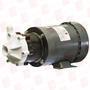 LITTLE GIANT PUMP 585504