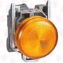 SCHNEIDER ELECTRIC XB4BVG5EX