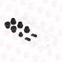 TURCK PICONET-SET-M12