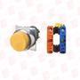 OMRON A22NN-RPM-NYA-G102-NN