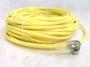 BALLUFF BCC M323-0000-10-004-PX43T2-100