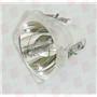 RADWELL VERIFIED SUBSTITUTE 8762-SUB (BARE LAMP ONLY)