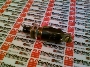 EATON CORPORATION 9416