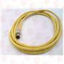RADWELL RAD07823