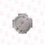 CORTEM GROUP SL36.1N