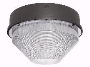 RAB LIGHTING VANGF60QT