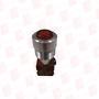 CORTEM GROUP M-0428/R