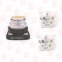 RADWELL RAD-30-FP-01/Y-22