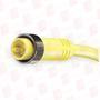 MOLEX 5AA41