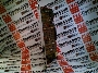 ZEBRA 5405017T01