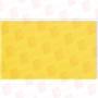 MAUDLIN PRODUCTS INC PL10-020