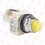 SCHNEIDER ELECTRIC 9001KT35LYY31