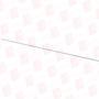 SWISS PRECISION INSTRUMENTS 19-013-2