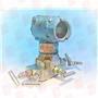 EMERSON 3051CD1A02A1AKBS5M5
