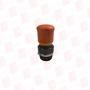 CORTEM GROUP M-0605/P