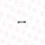 PHOENIX CONTACT CF 3000 SI 1,25 A/T/120 V
