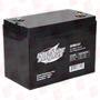 INTERSTATE BATTERIES DCM0157