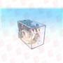 RADWELL RAD00260