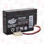 INTERSTATE BATTERIES SLA1000