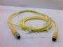 BALLUFF BCC M313-M313-30-300-PX43T2-020
