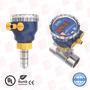 ICON PROCESS CONTROLS TI3R-SS-S