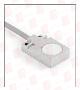 RADWELL VERIFIED SUBSTITUTE S1601602SUB