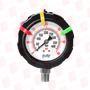 ICON PROCESS CONTROLS OBS-DGO-0-100