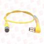 BALLUFF BCC M415-M424-3A-304-EX44T2-006