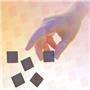 PROTECTIVE INDUSTRIAL PRODUCTS 7CS