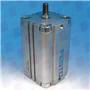 FESTO ADVU-63-100-A-P-A