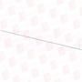 SWISS PRECISION INSTRUMENTS 19-012-4