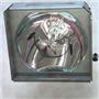 RADWELL VERIFIED SUBSTITUTE 28A7010-SUB (LAMP & HOUSING)