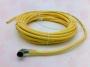 BALLUFF BCC M323-0000-10-004-VX43T2-050