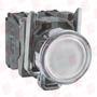 SCHNEIDER ELECTRIC XB4BW31M5