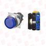 OMRON A22NL-RPA-TAA-G100-AC