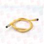 BALLUFF BCC M313-M313-30-300-EX43T2-006