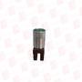 CORTEM GROUP M-0429/V