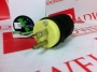 LEGRAND PS5466XCCY