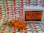 MOTION INDUSTRIES 01720206