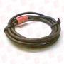 HIRD BROWN C2