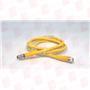BALLUFF BCC M313-M313-30-300-EX43T2-010