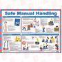 PRO SAFE INC A597