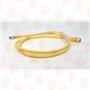BALLUFF BCC M415-M313-3F-300-EX43T2-010